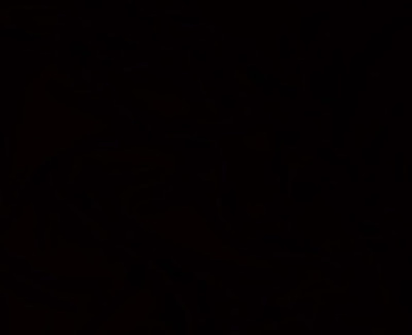 vqleriaa